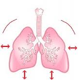 respiratory rate